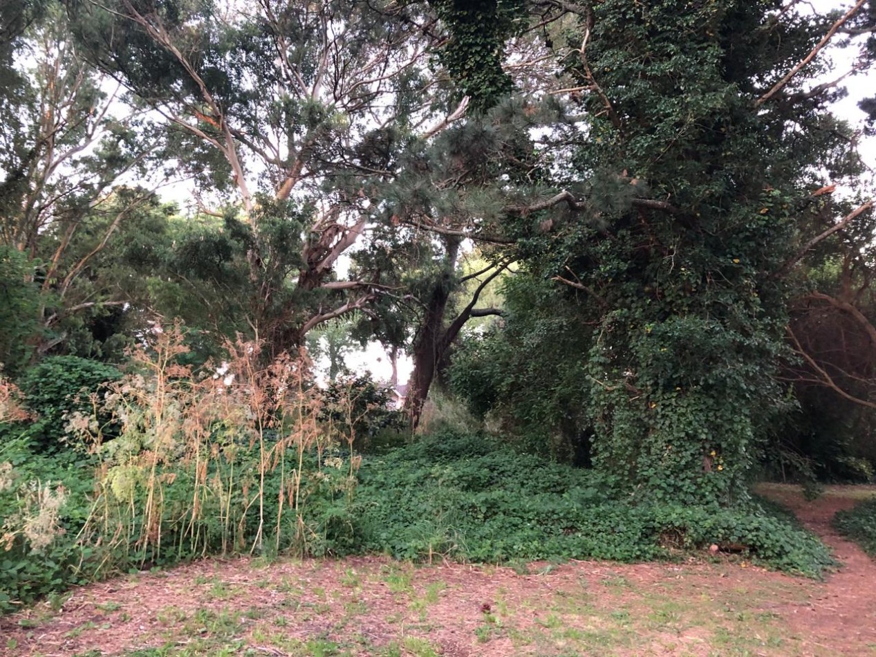 LOTE SIERRA DE LOS PADRES