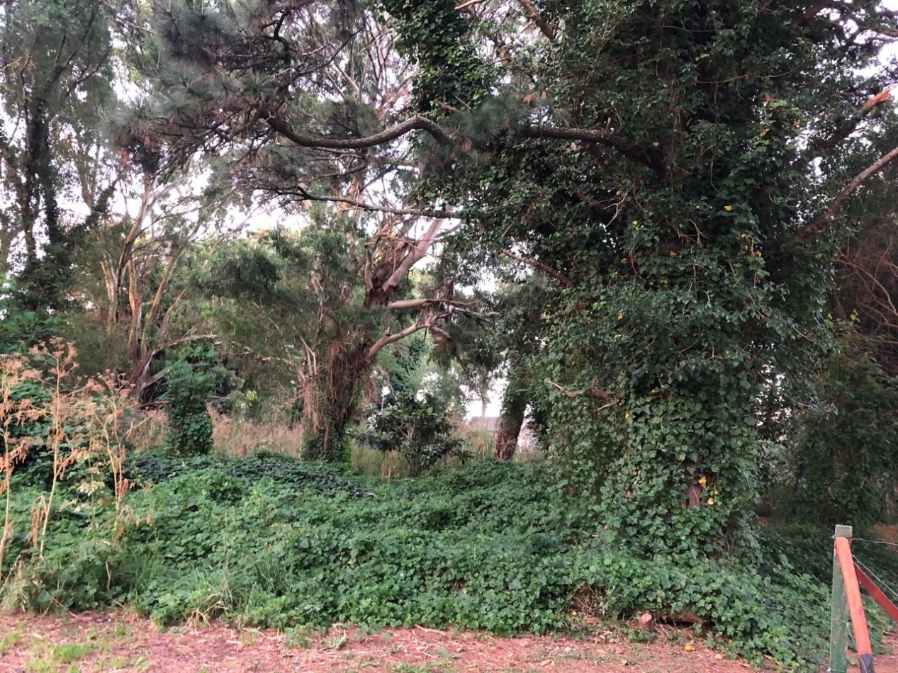 LOTE SIERRA DE LOS PADRES