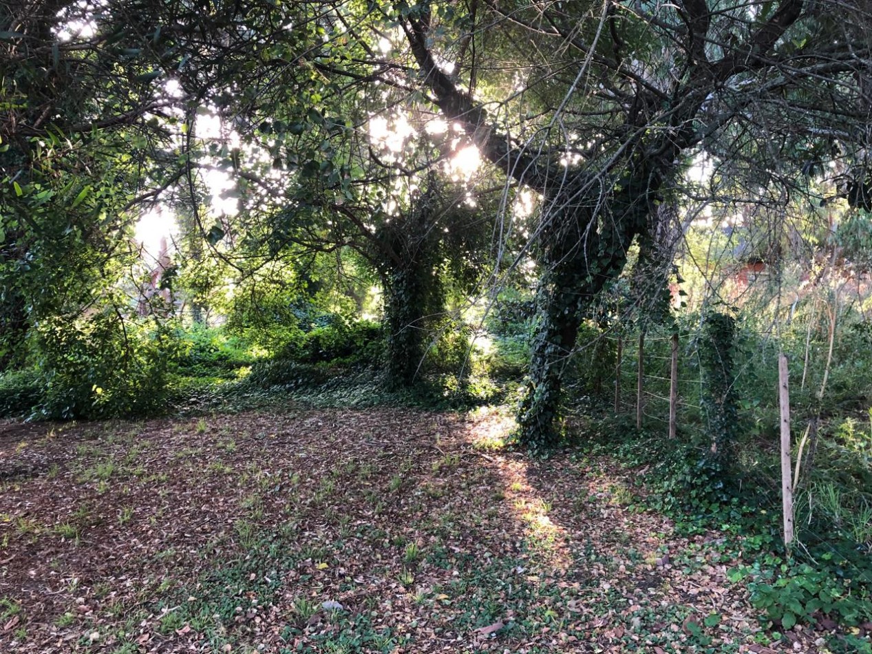 LOTE SIERRA DE LOS PADRES