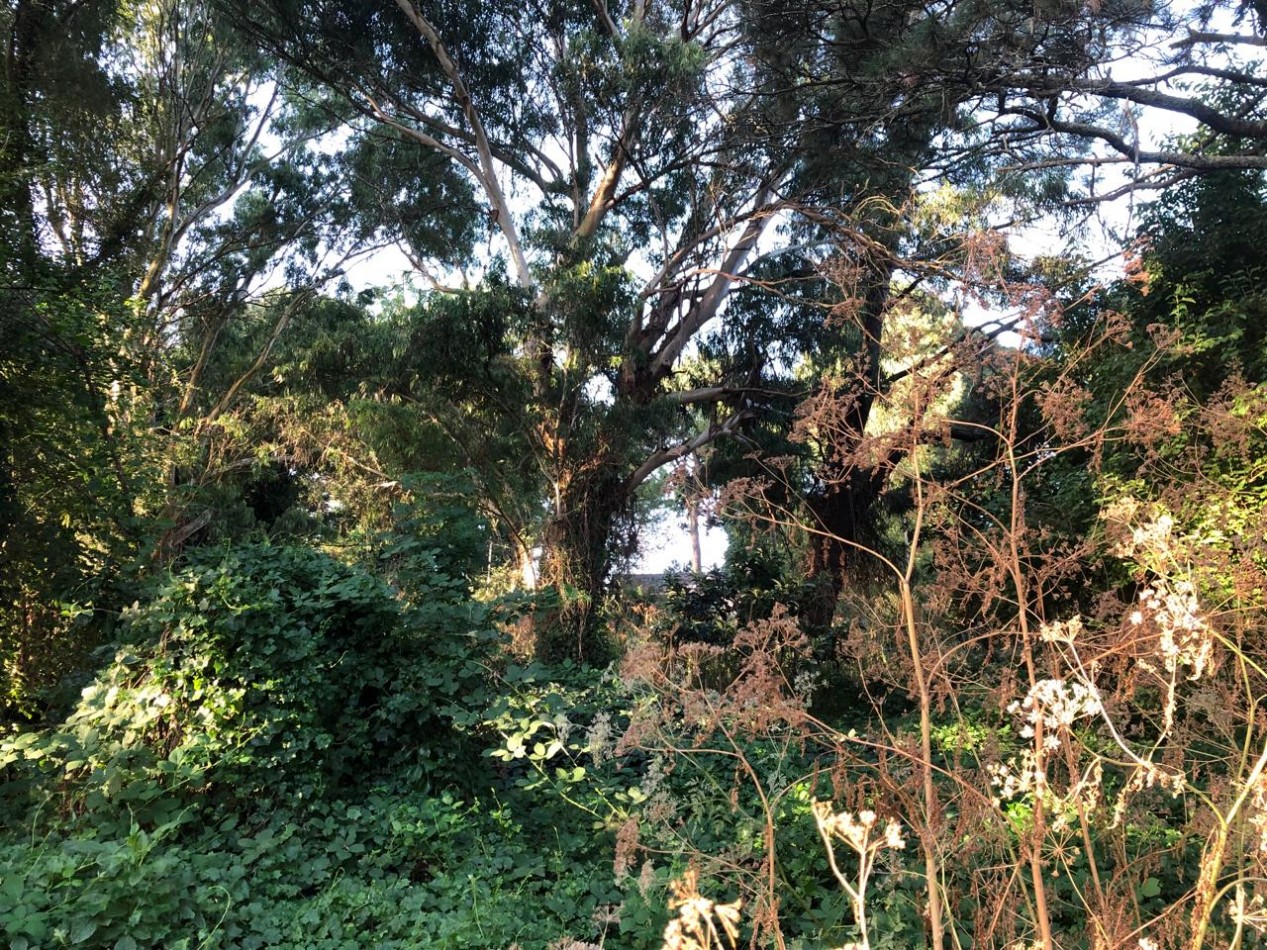 LOTE SIERRA DE LOS PADRES