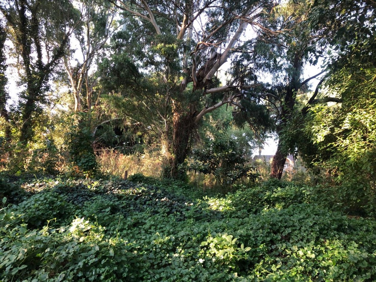 LOTE SIERRA DE LOS PADRES