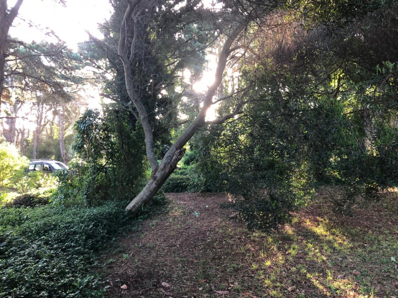 LOTE SIERRA DE LOS PADRES